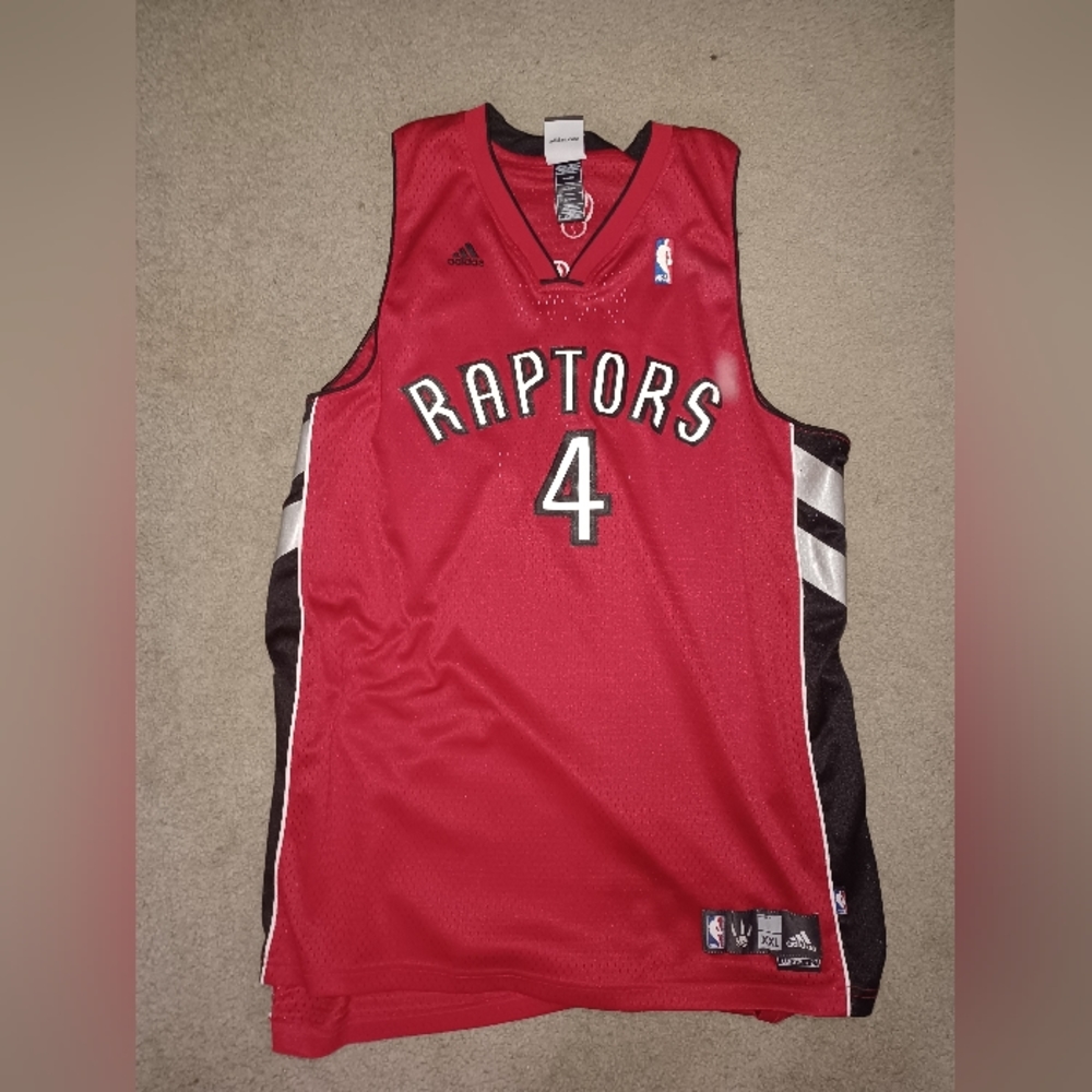 Chris Bosh Raptors swingman